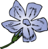 Periwinkle Bloom Clip Art
